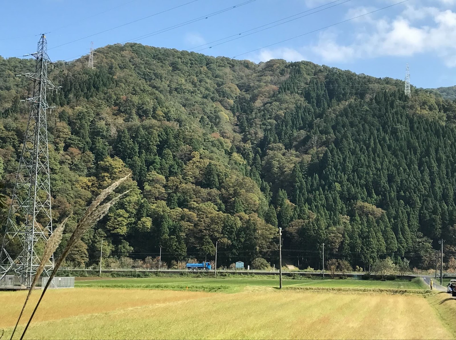 農薬散布